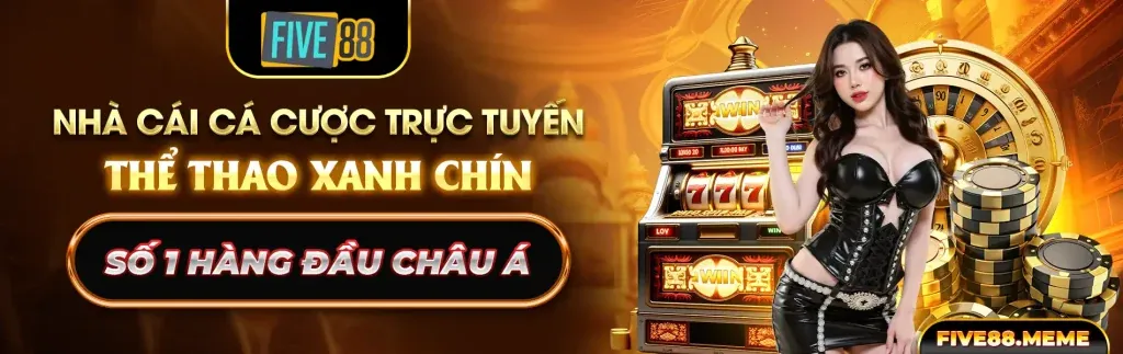 Các loại hình đá gà phổ biến